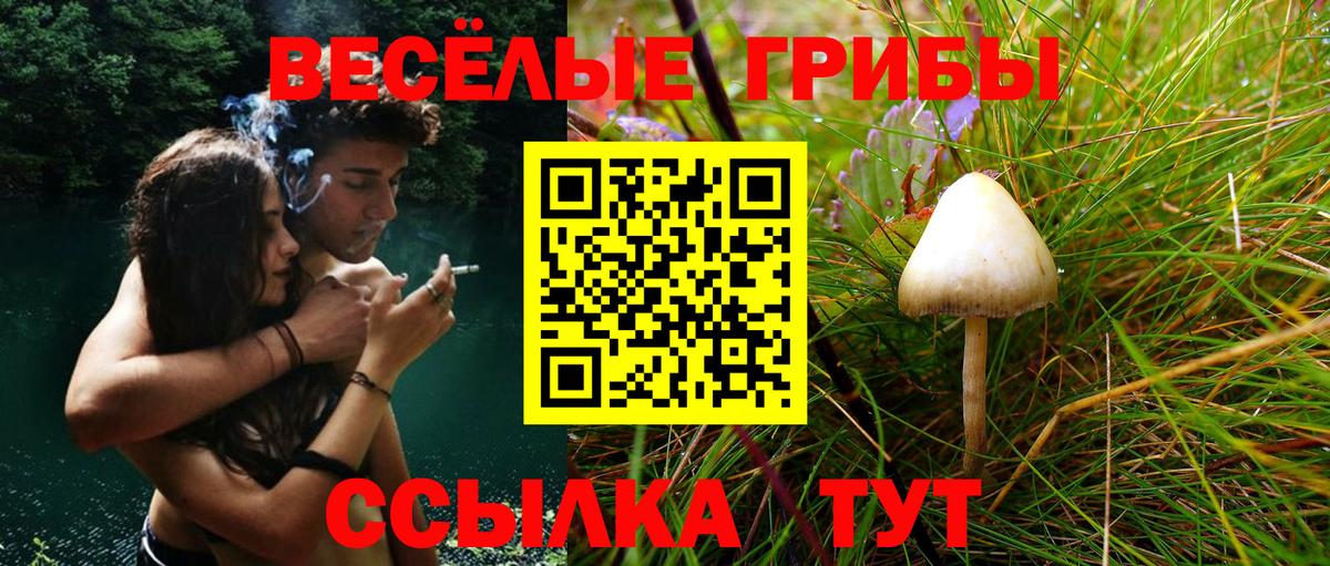 Псилоцибиновые грибы ЛСД  Вход с VPN  Сердобск 